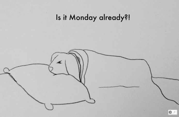 monday already bunny bunreal